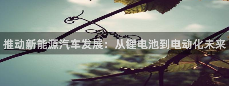 usdt如何提现到支付宝