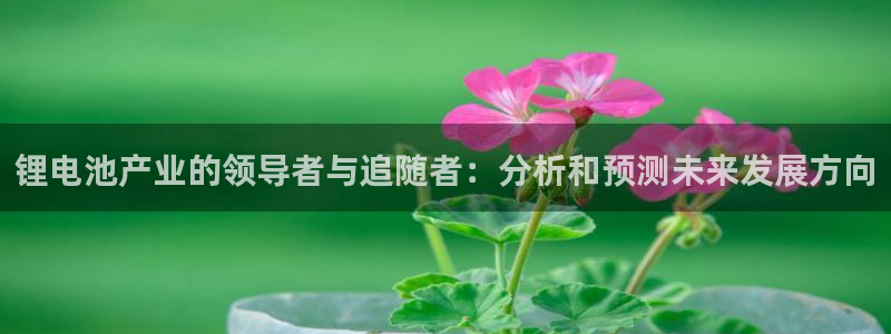 usdt钱包额度
