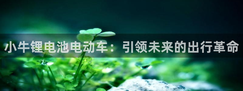 usdt货币地址