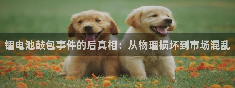 usdt提现后不到账
