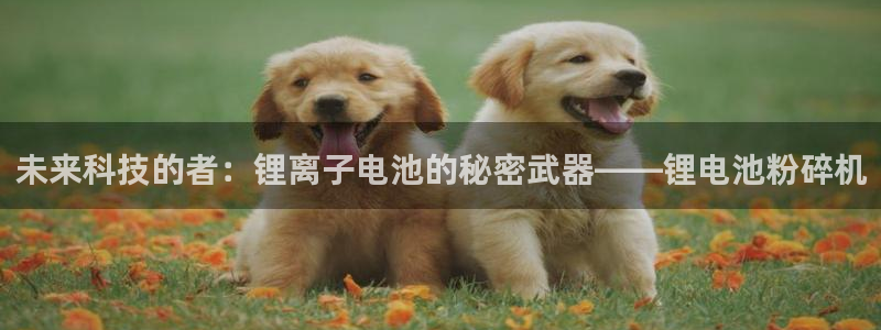 Usdt交易照片