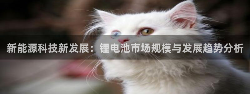 USDT钱包地址可以自己生成吗