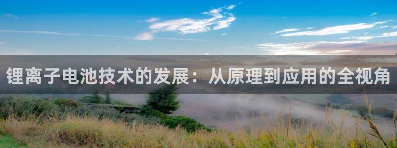 盗usdt钱包骗局
