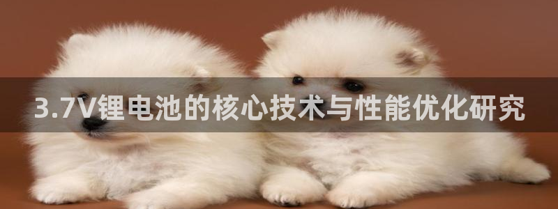 usdt稳定么