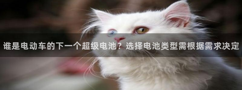 钱包里的usdt怎么提到交易所