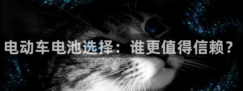 usdt可以转到什么钱包