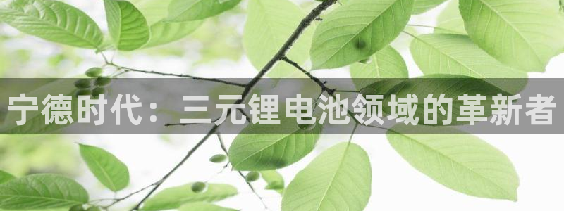 usdt交易提款需要交保证金