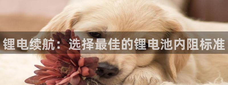 usdt如何提成现金