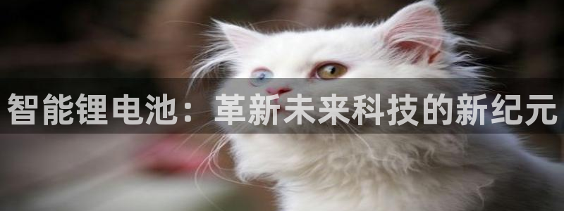 usdt交易id怎么查