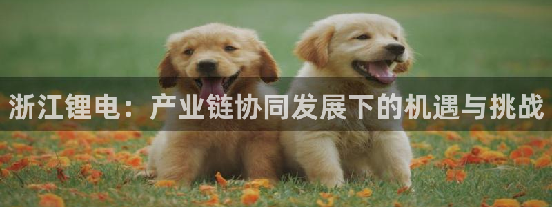 怎么看usdt地址