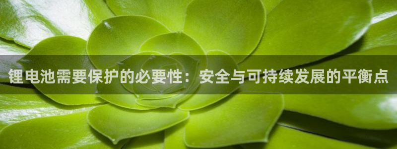 usdt被盗警察会管吗?