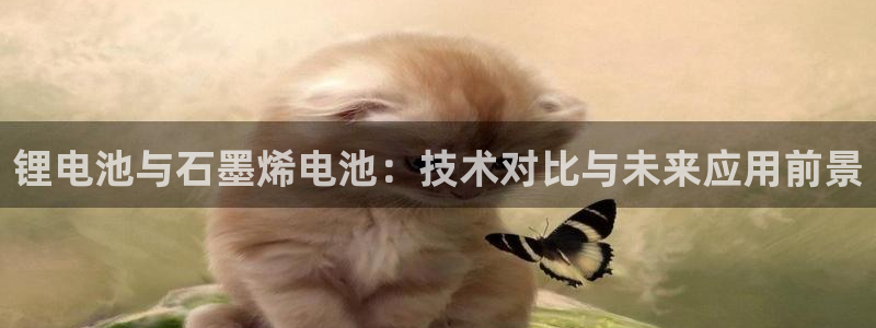 usdt钱包二维码被盗