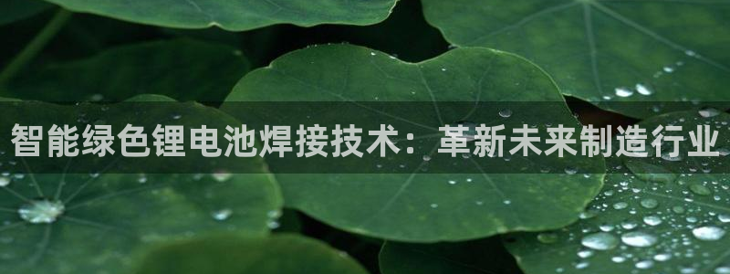 钱包usdt余额