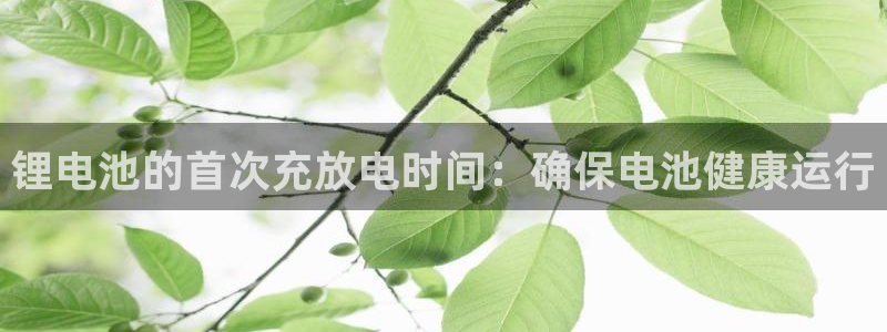 哈希官网usdt
