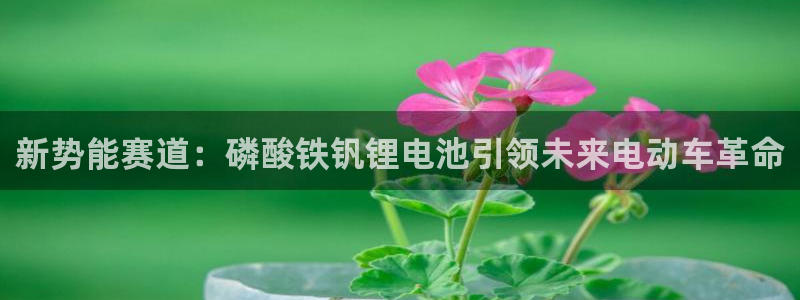 usdt币app