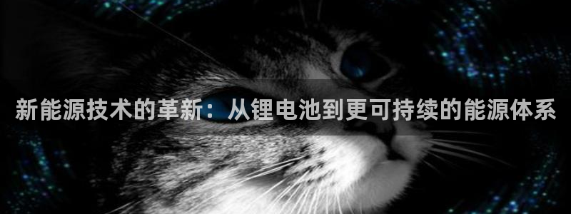 usdt货币钱包