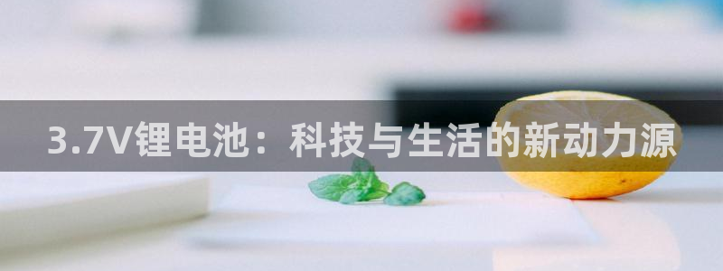 usdt地址交易查询