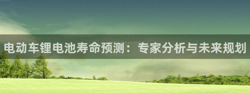 usdt官方版钱包app