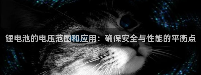 usdtbtc怎么玩