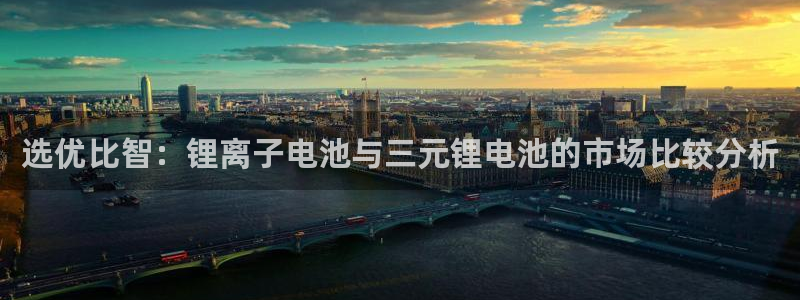 usdt介绍：选优比智：锂离子电池与三元锂电池的市场比较分析