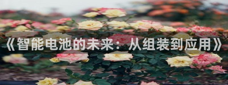usdt支付