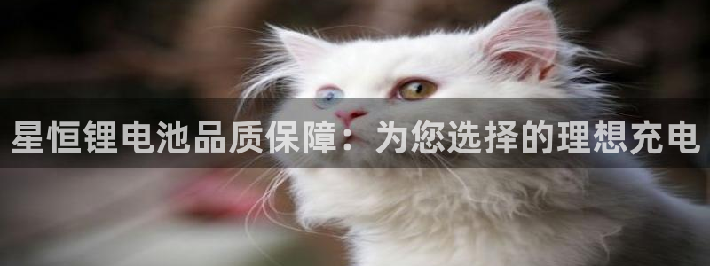 怎么操作usdt：星恒锂电池品质保障：为您选择的理想充电