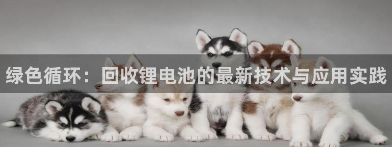 存放usdt的钱包：绿色循环：回收锂电池的最新技术与应用实践
