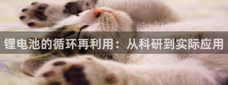 usdt钱包授权