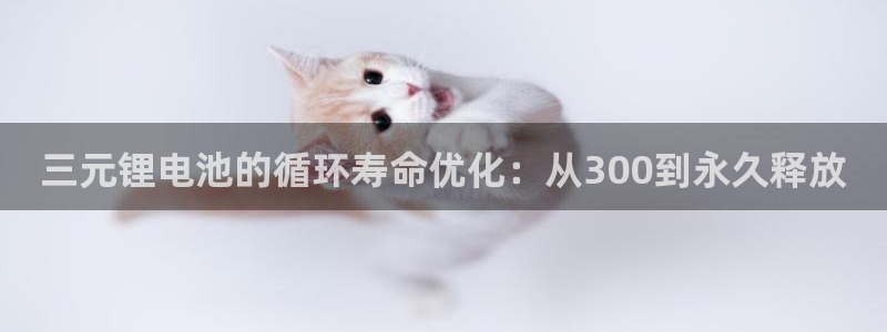 usdt提现人民币视频：三元锂电池的循环寿命优化：从300到永久释放