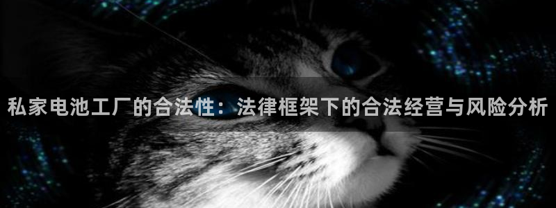 usdt钱包怎么弄中文