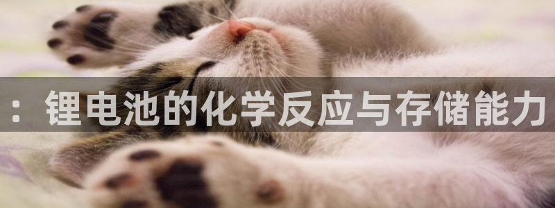 usdt钱包ios：：锂电池的化学反应与存储能力