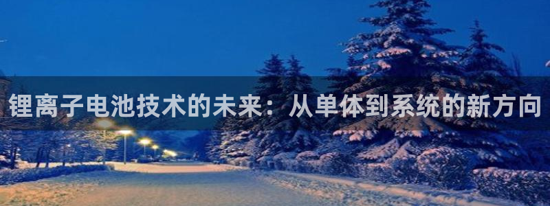 usdt存放在哪：锂离子电池技术的未来：从单体到系统的新方向