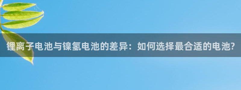 usdt的钱包号叫什么：锂离子电池与镍氢电池的差异：如何选择最合适的电池?
