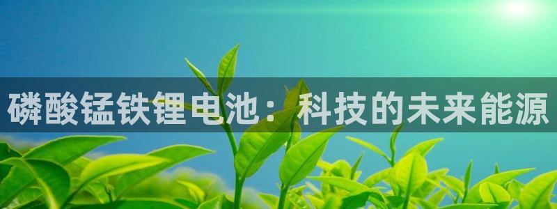 哪个钱包可以存usdt
