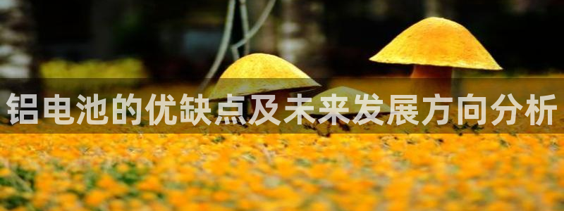 usdt币会跑路吗：铝电池的优缺点及未来发展方向分析