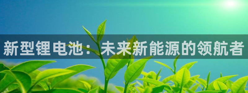 usdt法律认定：新型锂电池：未来新能源的领航者
