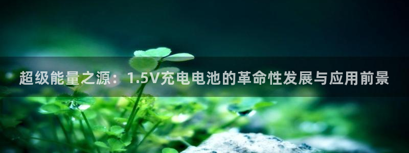 usdt钱包怎么用