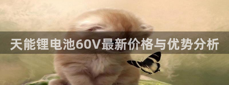 usdt钱包能提现到银行卡：天能锂电池60V最新价格与优势分析