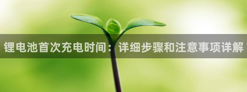 usdt的货币交易合法吗?：锂电池首次充电时间：详细步骤和注意事项详解