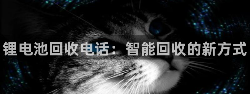 usdt的意义