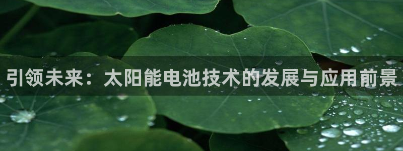 usdt官网网址：引领未来：太阳能电池技术的发展与应用前景