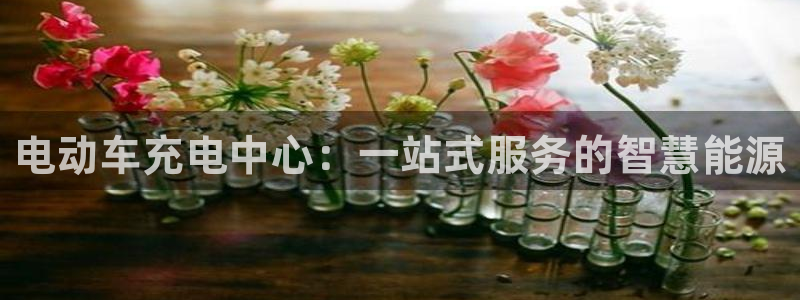usdt钱包下载安装教程