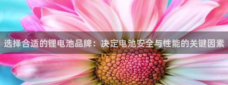 usdt交易买到假手机