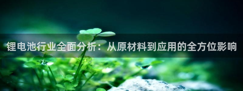 usdt账号注销之后还能查到吗：锂电池行业全面分析：从原材料到应用的全方位影响