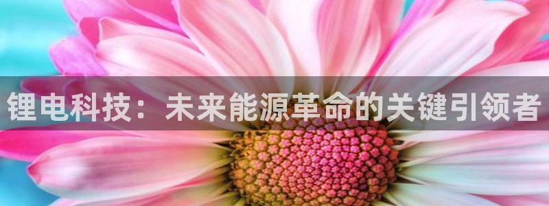 usdt账号交易频繁：锂电科技：未来能源革命的关键引领者