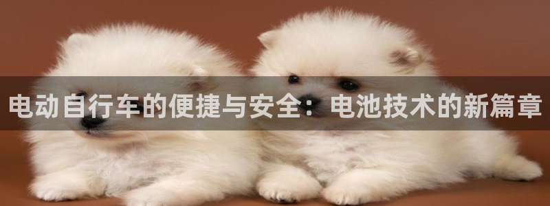 usdt地址可以查到吗：电动自行车的便捷与安全：电池技术的新篇章