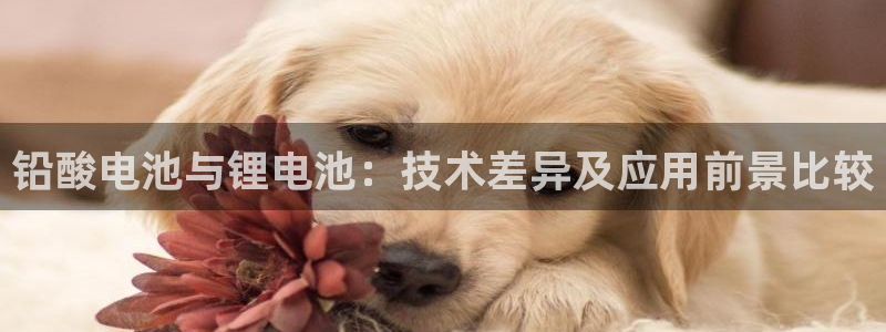 买卖usdt违法：铅酸电池与锂电池：技术差异及应用前景比较
