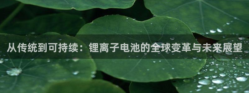usdt钱包如何提现：从传统到可持续：锂离子电池的全球变革与未来展望
