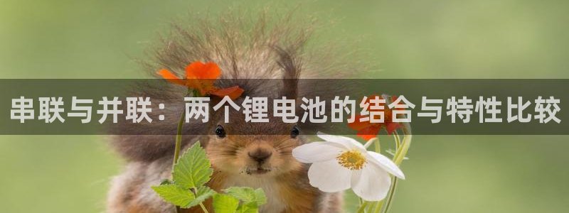 usdt币交易：串联与并联：两个锂电池的结合与特性比较