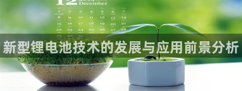 usdt交易需要多久：新型锂电池技术的发展与应用前景分析